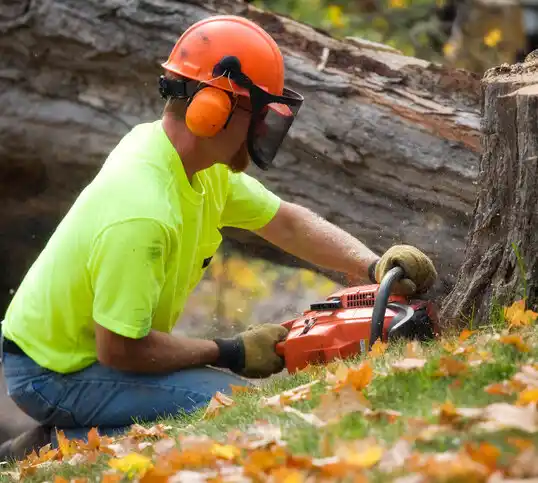 tree services Orient